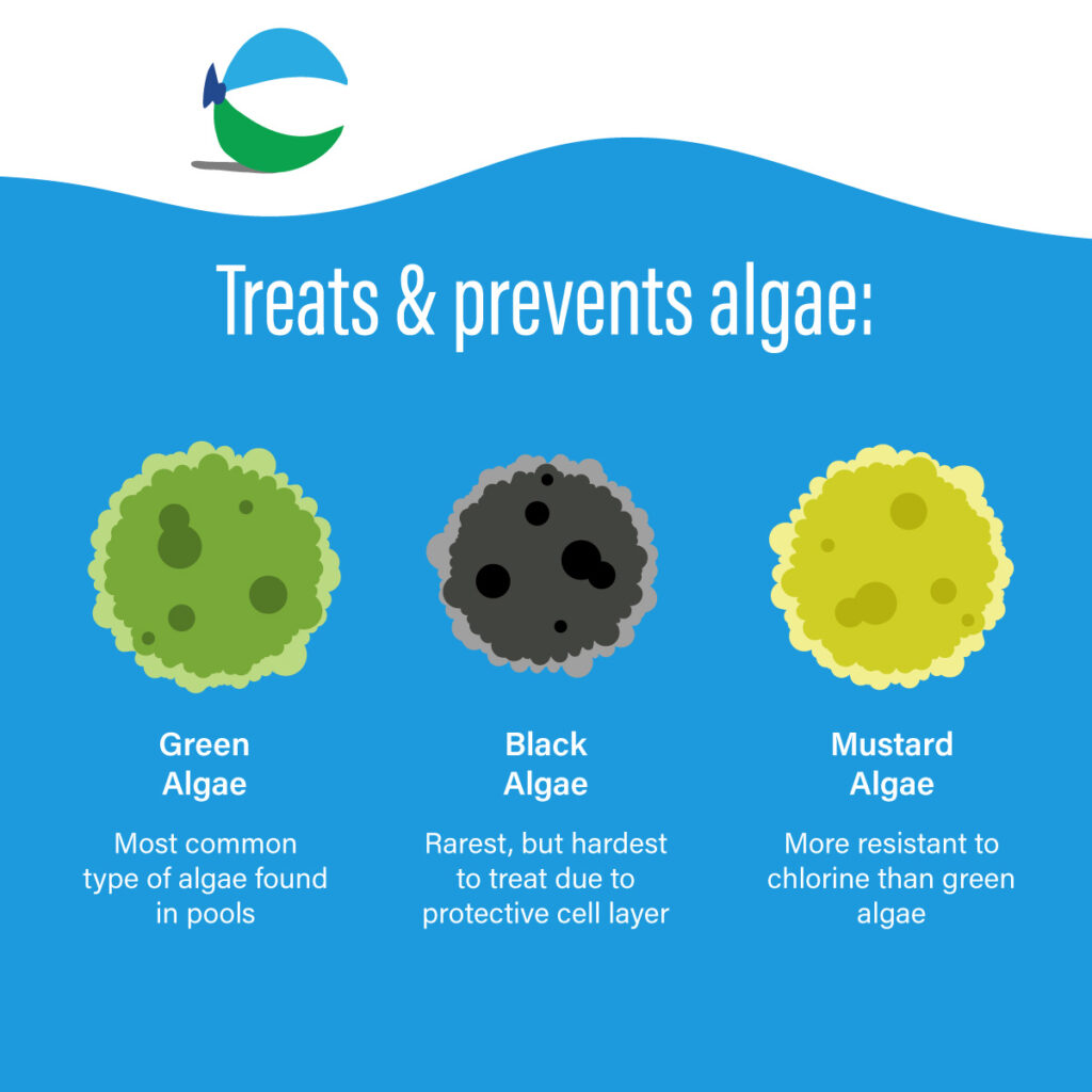 Poolife Defend+ Algaecide